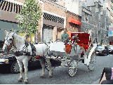 Horse and carriage