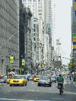 A brave guy bicycling up Fifth Avenue in midtown