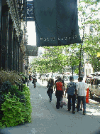 Ralph Lauren Store