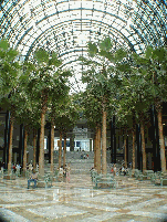 Winter Garden