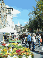 Green market at Union Square Park