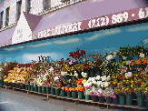 A typical NYC corner deli on the East Side