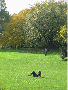 A lady stretched out on a field in Central Park