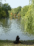 A lady and her dog watching people in rowboats in Central Park