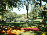 Central Park in the early fall