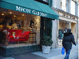 Mecox Gardens on Lexington Avenue