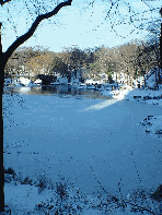 Central Park all covered in ice and snow