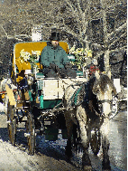 A horse and carriage in Central Park