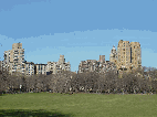 Sheep Meadow