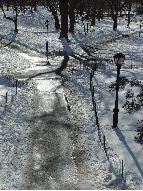 Snow Central Park