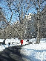 Central Park