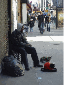 Homeless man with his cats