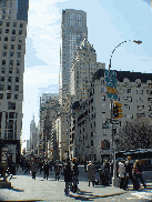 Fifth Avenue