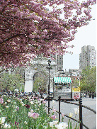 Washington Square Park and the arch in the background.