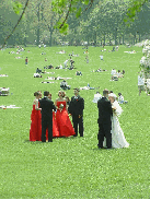 A wedding party in Central Park