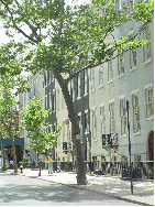 Pretty townhouses of Greenwich Village