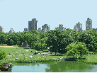 Central Park and the view of Turtle Pond