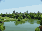 Central Park skyline at Turtle Pond