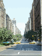 Park Avenue