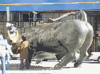 Wall Street Bull