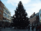 Christmas tree at South Street Seaport