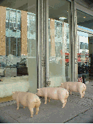 Some cute little pigs outside an exclusive store in the Meat Packing District