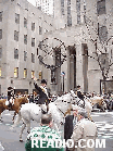 Horses on Fifth Avenue in front of Rockefeller Center