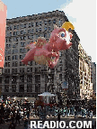 Dragon Tales' Cassie Balloon Photo 75th Annual Macy's Thanksgiving Day Parade Pictures on 34th Street New York, NY. Images of NYC Parade Floats and Balloons.