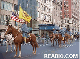 Civil War Horse Photos of 2001 Veterans Day Parade in New York City Fifth Avenue.